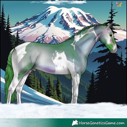Horse Color:Watercolor Buckskin Onyx Tobiano 