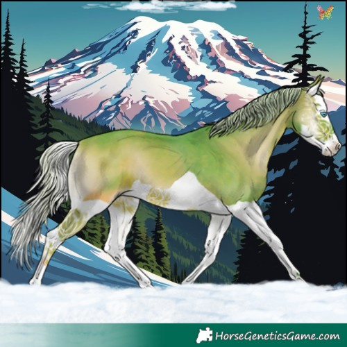 Horse Color:Watercolor Silver Brown Onyx Splash 