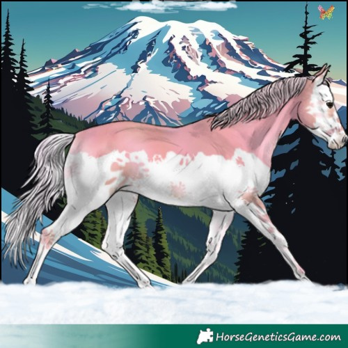 Horse Color:Watercolor Silver Smoky Blue Onyx Splash 