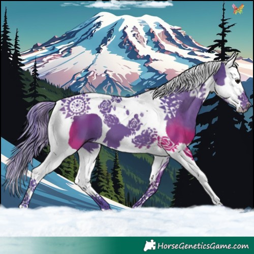 Horse Color:Watercolor Smoky Black Splash Tobiano 
