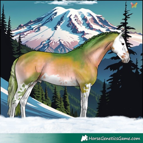 Horse Color:Watercolor Buckskin Onyx Splash 