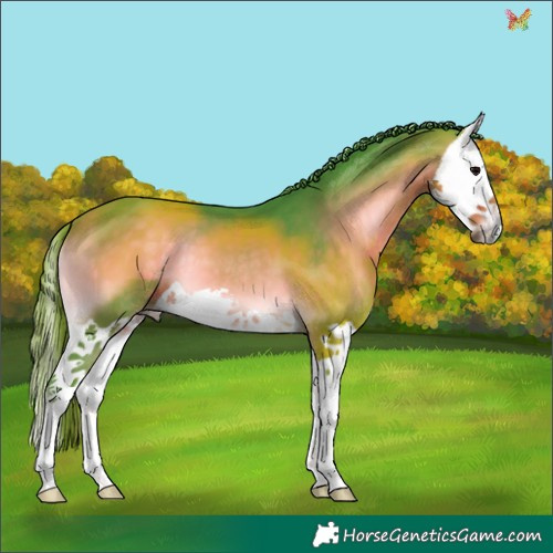 Horse Color:Watercolor Buckskin Onyx Splash