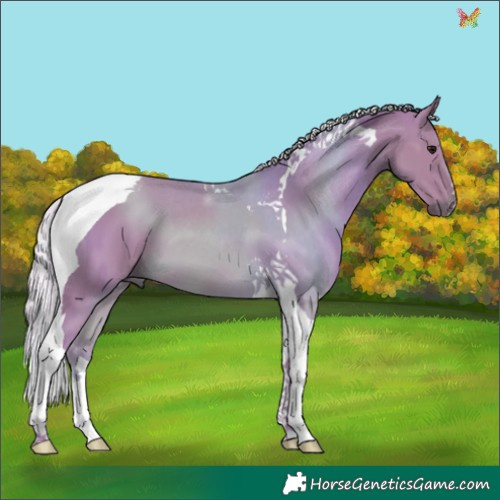Horse Color:Watercolor Silver Smoky Black Tobiano 