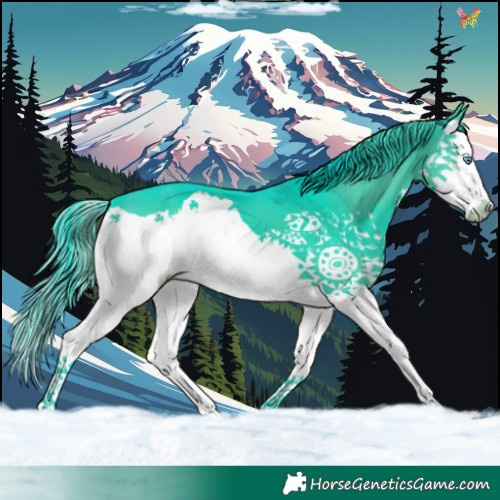 Horse Color:Watercolor Smoky Black Splash 