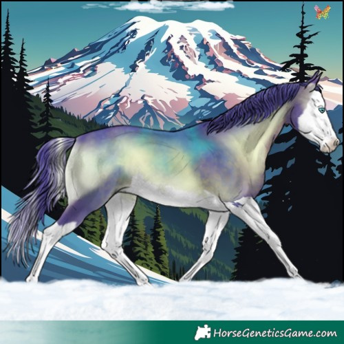 Horse Color:Watercolor Brown Onyx Splash 