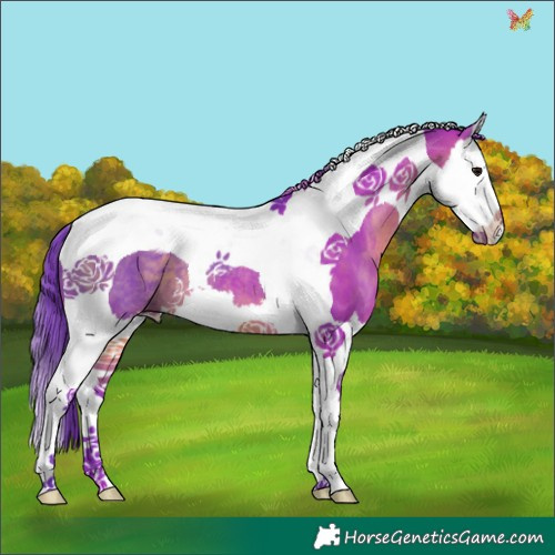 Horse Color:Watercolor Brown Splash Tobiano 