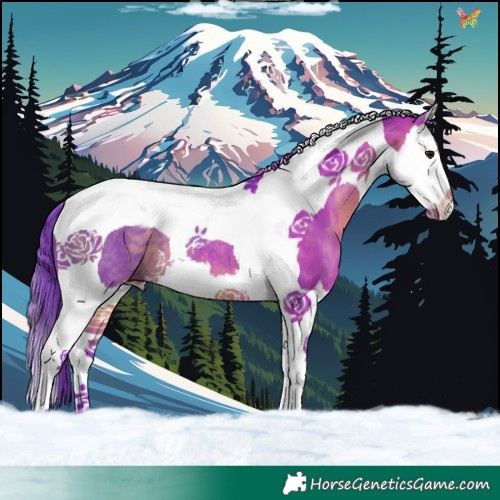 Horse Color:Watercolor Brown Splash Tobiano 