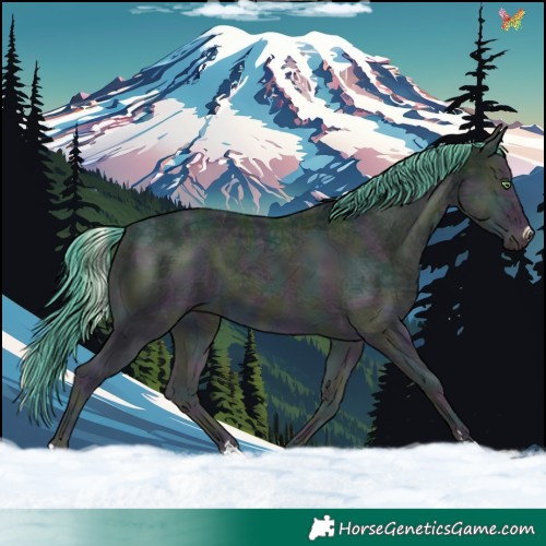 Horse Color:Watercolor Midnight Smoky Creme Ice Onyx 