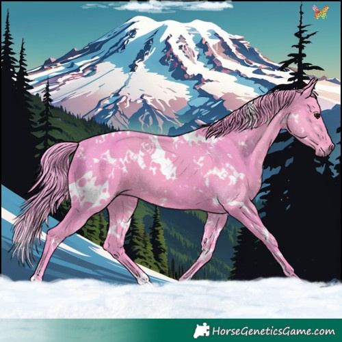 Horse Color:Watercolor White Spotted Smoky Black 