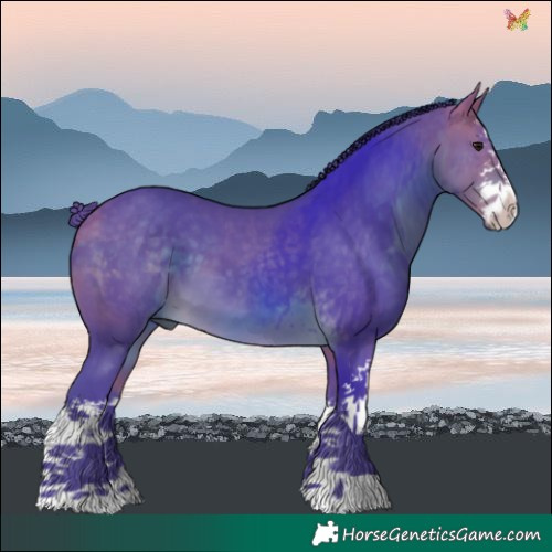 Horse Color:Watercolor White Spotted Buckskin 
