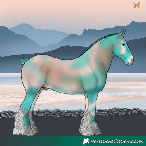 Horse Color:Watercolor Smoky Blue Onyx 