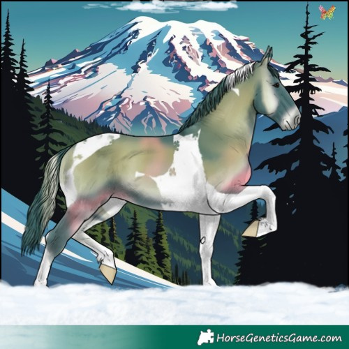 Horse Color:Watercolor Smoky Blue Onyx Tobiano 