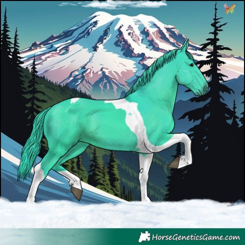 Horse Color:Watercolor Smoky Black Tobiano 