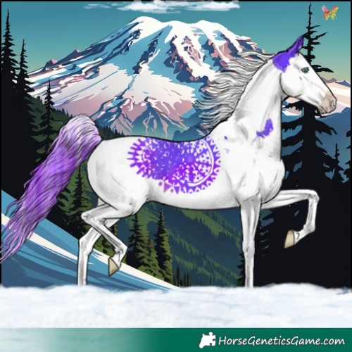 Horse Color:Watercolor Liver Chestnut Splash Tobiano 