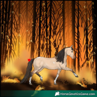 Horse Color:Bay Dun Tobiano 