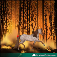 Horse Color:Red Roan
