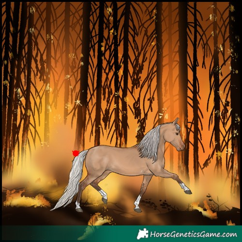 Horse Color:Silver Bay Dun Tobiano 