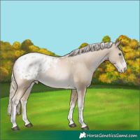 Horse Color:White Spotted Chocolate Palomino Pearl Mushroom Appaloosa Rabicano 
