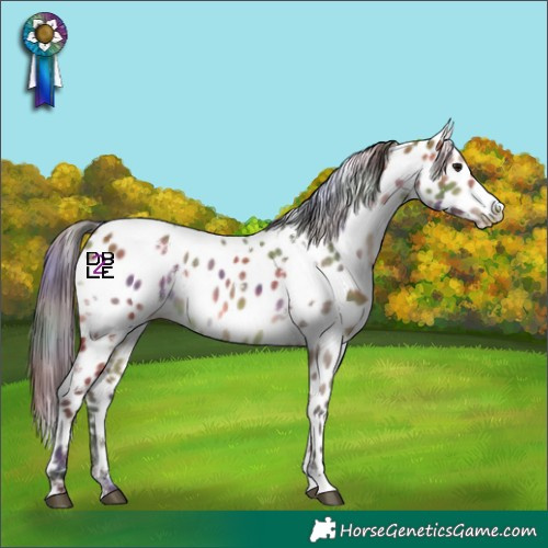 Horse Color:Nacre White Spotted Bay Dun Leopard 