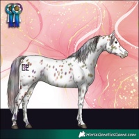 Horse Color:Nacre White Spotted Bay Dun Leopard 