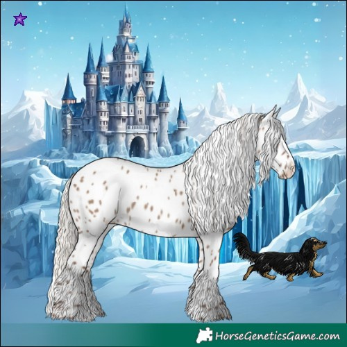 Horse Color:Silver Grullo Near Leopard 
