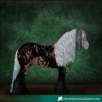 Horse Color:Void Painted Silver Black Ice Tobiano Appaloosa