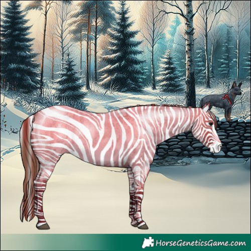 Horse Color:Smoky Grullo Roan Frame Appaloosa 