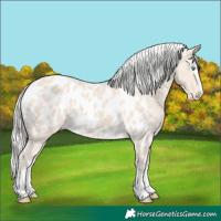 Horse Color:Silver Smoky Creme Appaloosa 