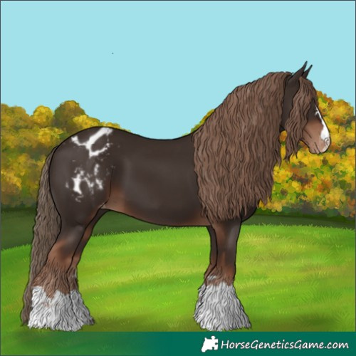 Horse Color:Liver Chestnut Blanket