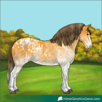 Horse Color:White Spotted Buckskin Splash Blanket  and White Spotted Buckskin Splash Blanket 