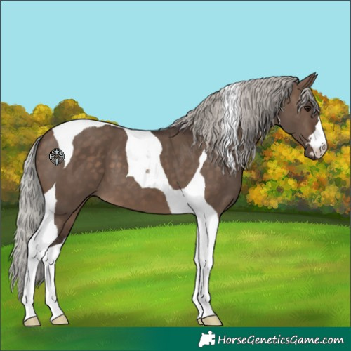 Horse Color:Silver Brown Dun Tobiano 