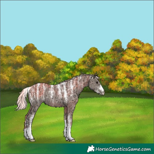 Horse Color:Powder White Silver Grullo Ice 