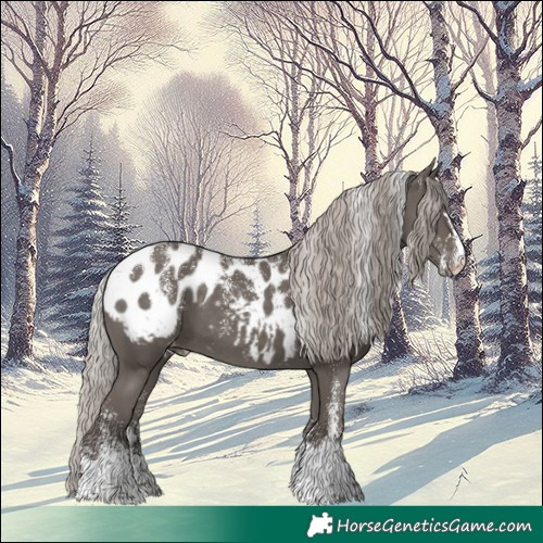 Horse Color:Powder White Silver Black Appaloosa 