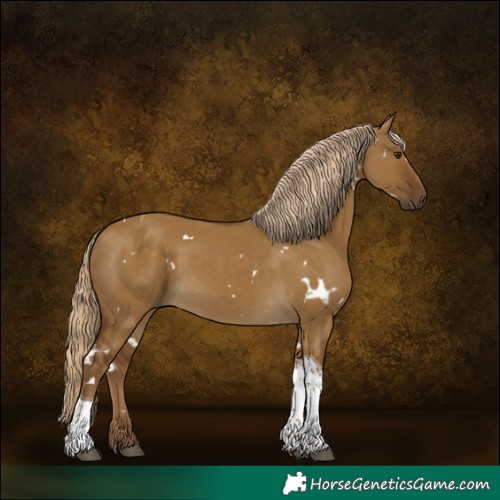 Horse Color:White Spotted Chocolate Palomino Dun Tobiano 