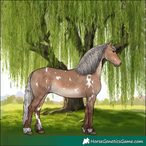 Horse Color:White Spotted Silver Bay Dun 