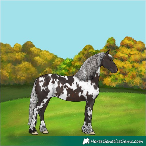 Horse Color:White Spotted Silver Brown Mushroom 