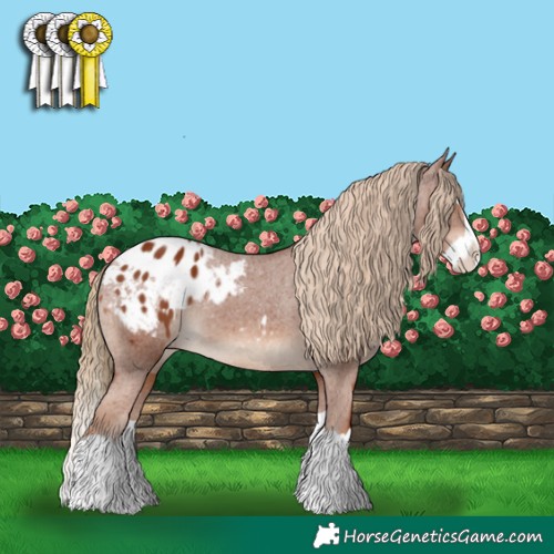 Horse Color:Chestnut Splash Blanket 