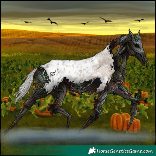 Horse Color:Silver Grullo Roan Appaloosa