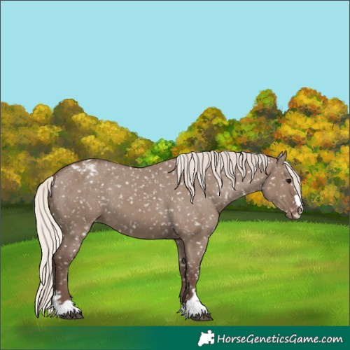 Horse Color:Silver Grullo Snowflake Varnish 