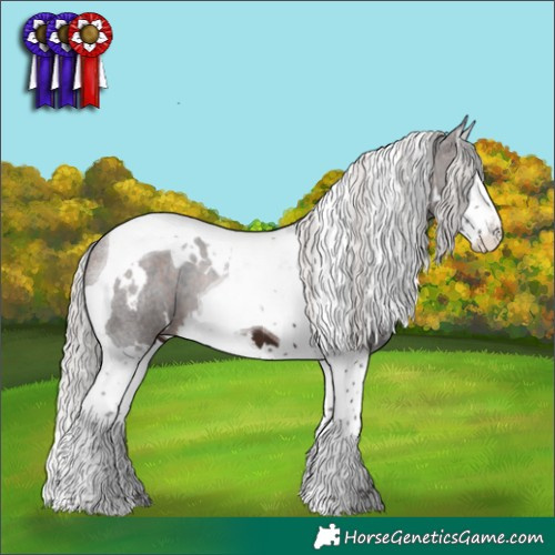 Horse Color:White Spotted Silver Brown Splash Tobiano 