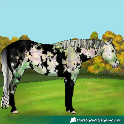 Horse Color:Void Watercolor Plaid  White Spotted Silver Blue Onyx Ice Tobiano 