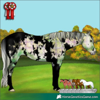 Horse Color:Void Watercolor Plaid White Spotted Silver Blue Onyx Ice Tobiano