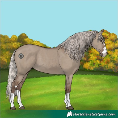 Horse Color:Silver Grullo 