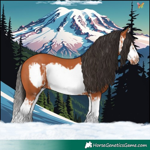 Horse Color:Bay Splash Frame  and Bay Splash Frame 