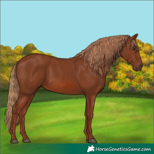 Horse Color:Chestnut 