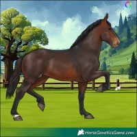 Horse Color:Bay Skewed LP Spotted 