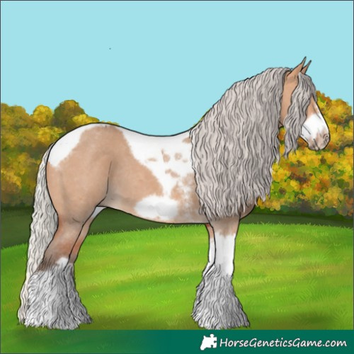 Horse Color:Silver Bay Dun Sabino Tobiano Frame Rabicano 