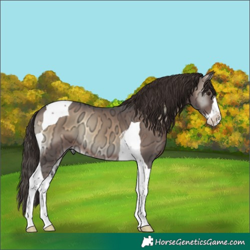 Horse Color:Liver Red Onyx Ice Splash Tobiano 