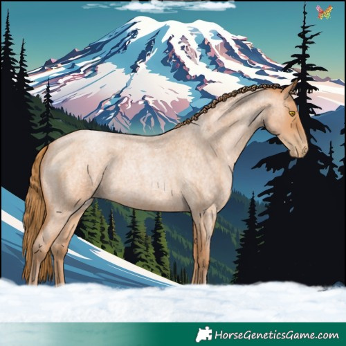 Horse Color:Bay Roan Pearl