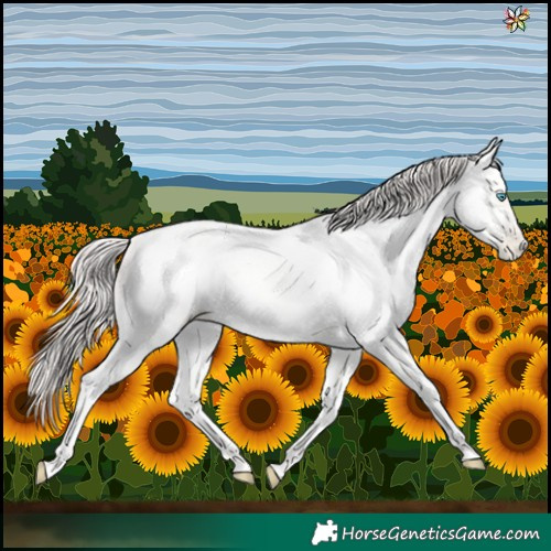 Horse Color:Amber Cream Champagne Roan Pearl 